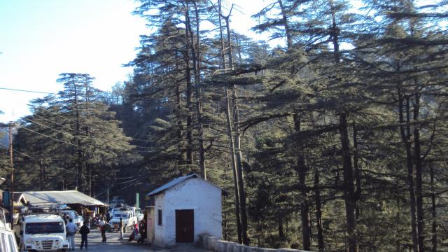 नए साल पर सैलानियों के स्वागत में जुटी उत्तराखंड सरकार