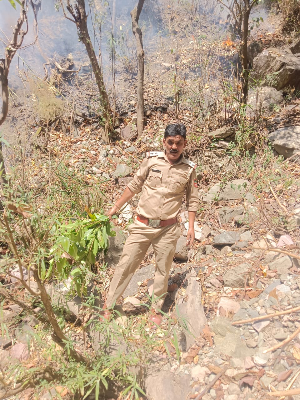 जंगल में लगी आग से वन संपदा को नुकसान