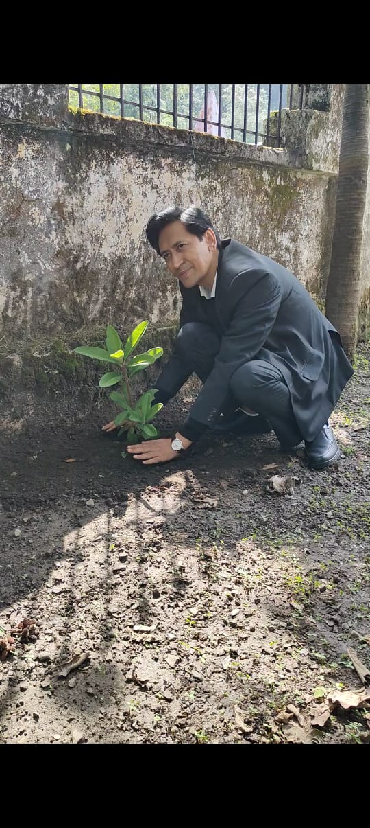 पर्यावरण दिवस पर आयुक्त दीपक रावत ने किया पौधारोपण, पर्यावरण संरक्षण का लिया संकल्प