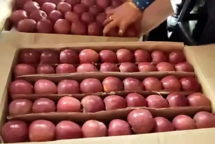 उत्तराखंड के सेब उत्पादकों को बेहतर पैकेजिंग के लिए कार्टन का वितरण शुरू