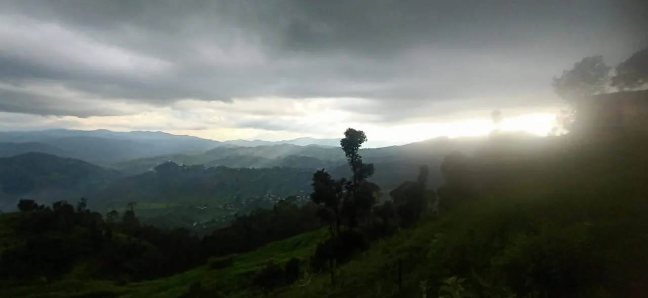 20 जुलाई को रेड अलर्ट, 21-22 को ऑरेंज अलर्ट: भारी से अति भारी बारिश की चेतावनी, प्रशासन अलर्ट मोड में