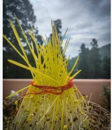 हरेला पर्व 16 जुलाई से, जिले भर में होगा वृहद पौधारोपण