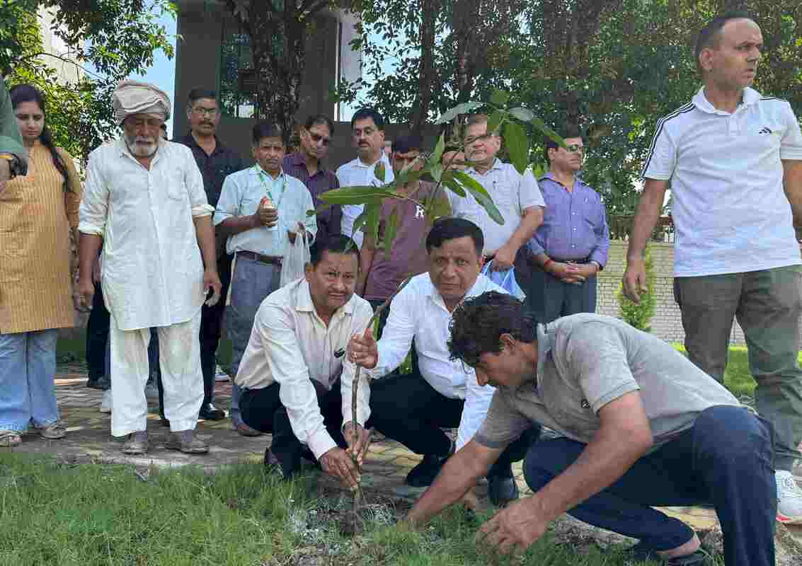 हरेला पर्व पर MDDA की हरित पहल, दून में 60,000 पौधे लगाने का संकल्प