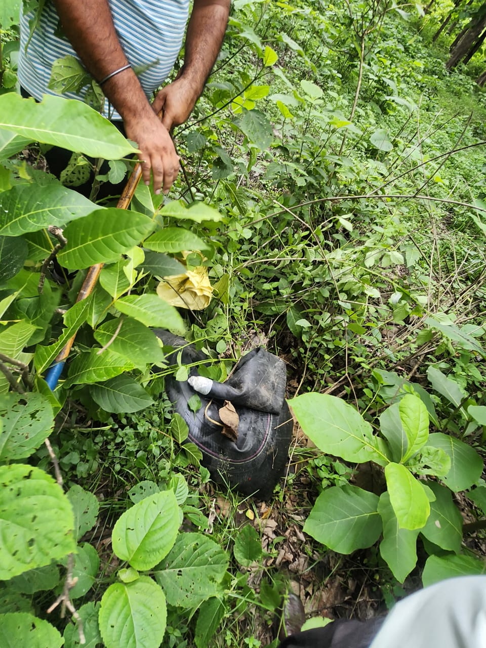 हल्द्वानी में अवैध शराब के विरुद्ध आबकारी विभाग का शिकंजा, 30 मुकदमे दर्ज