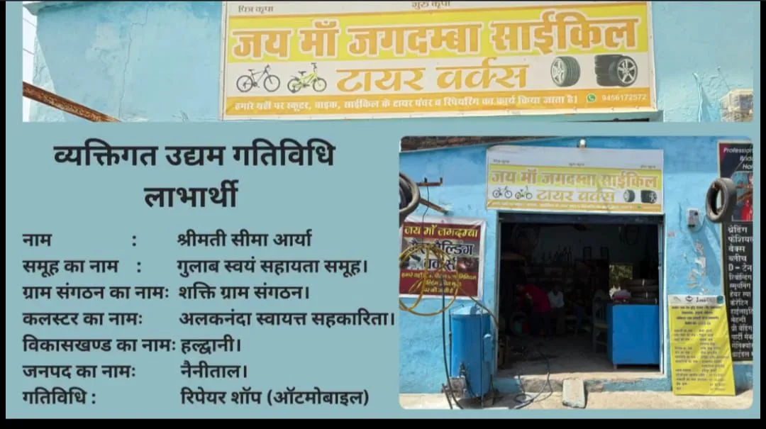 आत्मनिर्भर बनी हल्दूचौड़ की सीमा आर्या, महिलाओं के लिए बनी मिसाल