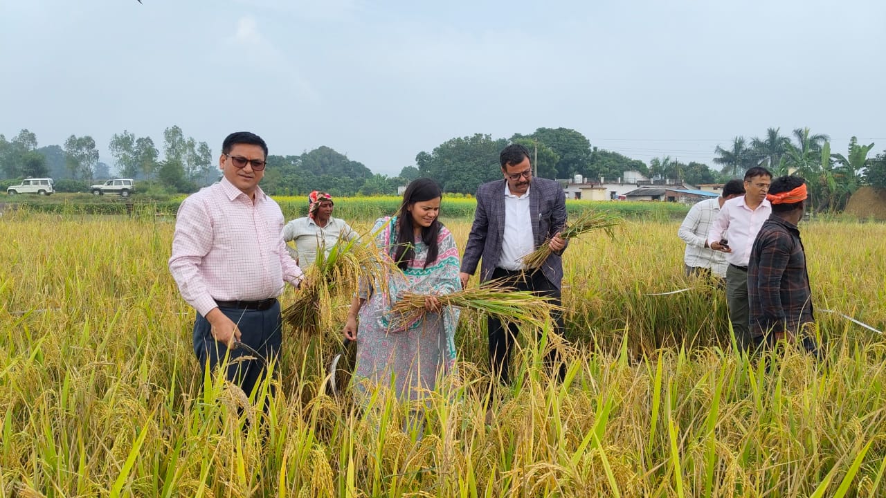 एडीएम शैलेंद्र नेगी ने की धान की फसल की क्रॉप कटिंग में सहभागिताफसल उत्पादन के सटीक आंकड़े किसानों के हित में निर्णय लेने में सहायक — एडीएम