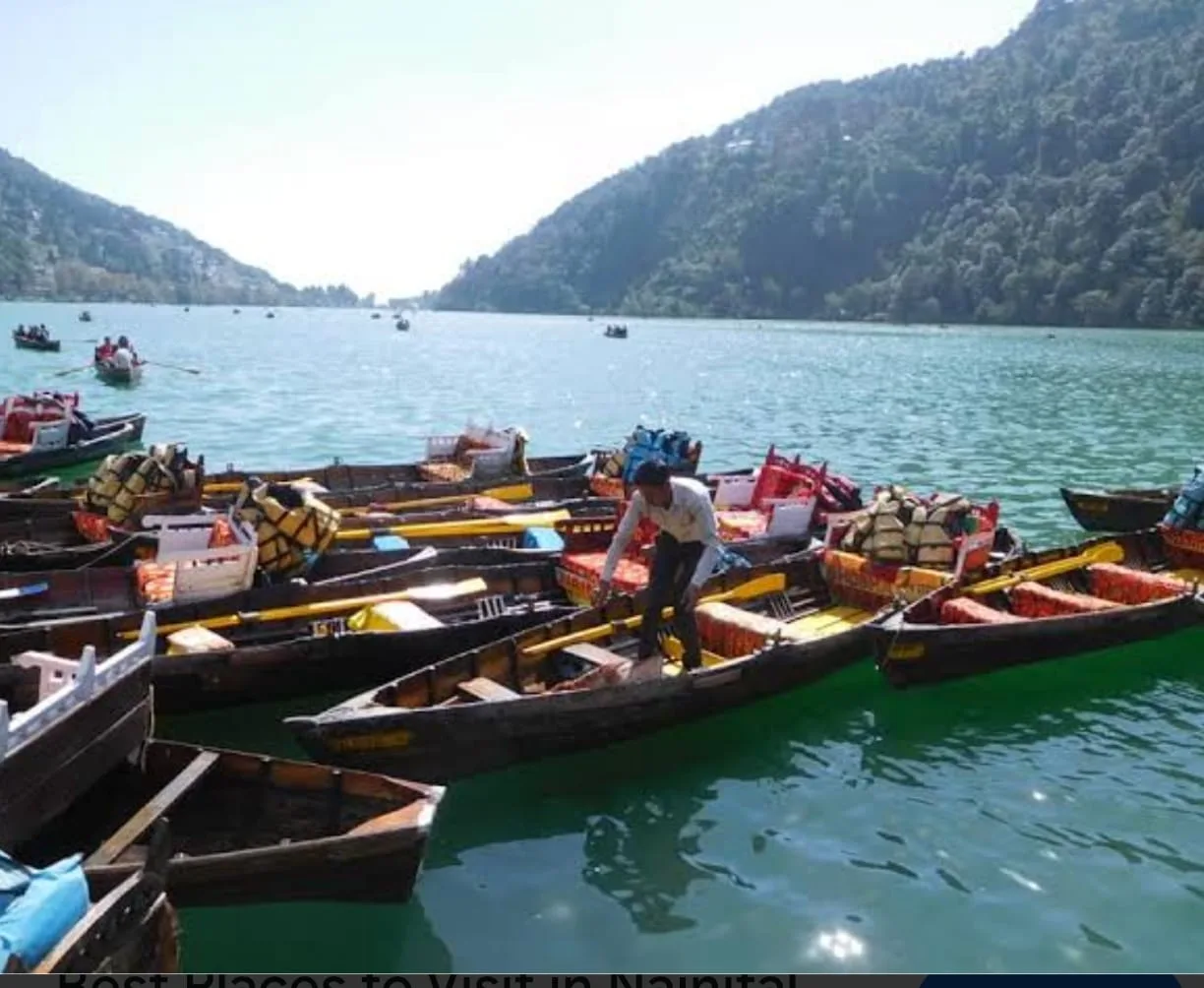 एनजीटी में हेमंत सिंह गोनिया की याचिका से उठे सवाल