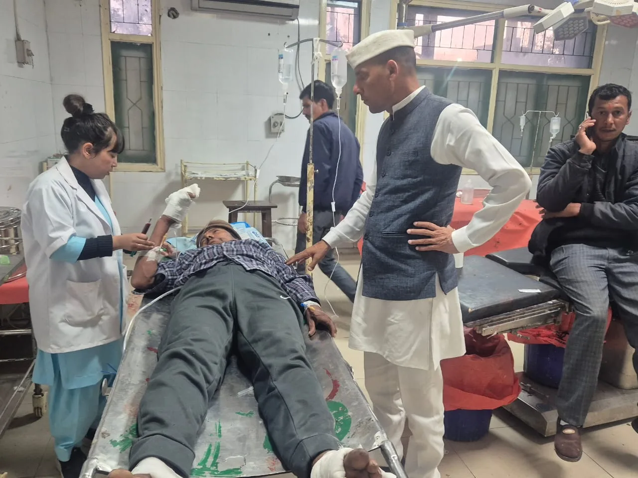 पेड़ से घास काट रहे किसान को लगा करंट, गंभीर घायल