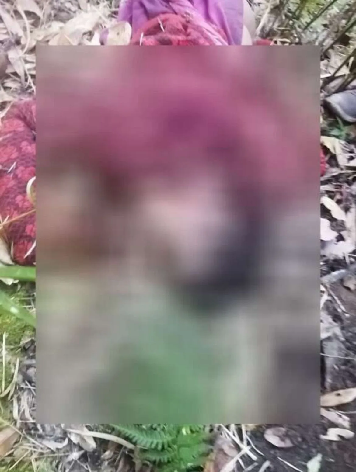 खुटियाखाल में बाघ का आतंक, महिला को उठा ले जाने के बाद जंगल में मिला शव