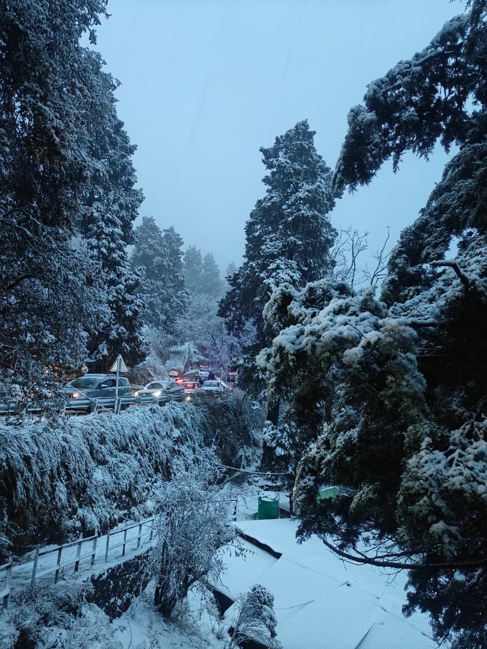 नैनीताल समेत ऊंचाई वाले इलाकों में सीजन की पहली बर्फबारी, सैलानियों में उत्साह