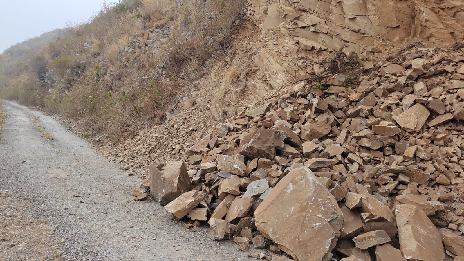 बबियाड–टपूवा–दुदुली मोटर मार्ग पर अवैध खनन का आरोप, कांग्रेस नेता मनोज शर्मा ने की जांच की मांग