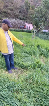 बेमौसमी बारिश से तबाही, किसानों को ‘बाजार मूल्य’ पर मुआवजा देने की मांग