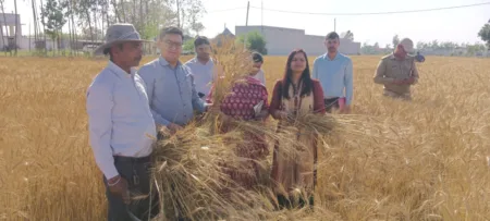 डिजिटल क्रॉप सर्वे में तेजी, एडीएम ने किया निरीक्षण