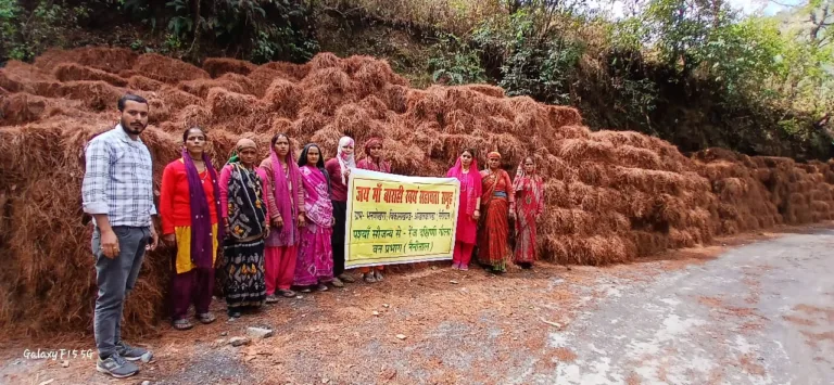 नैनीताल में महिलाओं की पहल बनी मिसाल, 2357 क्विंटल पीरूल एकत्र कर जंगलों को बचाने में निभाई बड़ी भूमिका