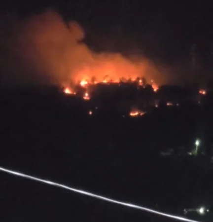 भीमताल के थकुड़ा जंगल में भीषण आग, रातभर धधकता रहा वन क्षेत्र