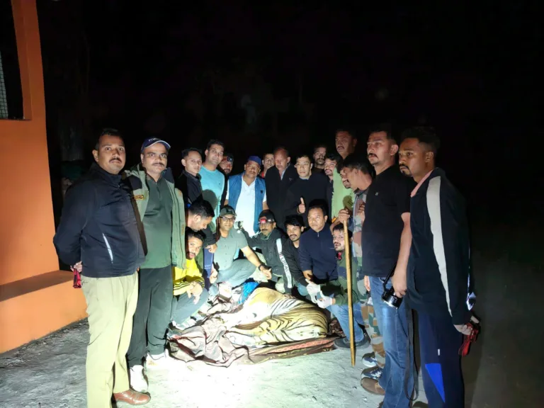 महिला को निवाला बनाने वाला आदमखोर बाघ काबू में, रानीबाग रेस्क्यू सेंटर भेजा