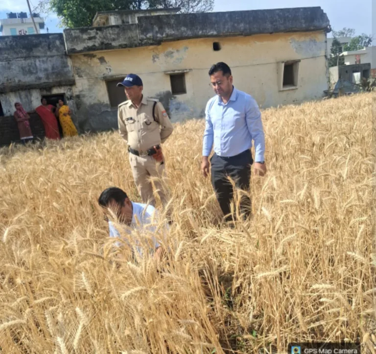 रबी फसल के सटीक आकलन को क्रॉप कटिंग जरूरी, डीएम ने किया निरीक्षण