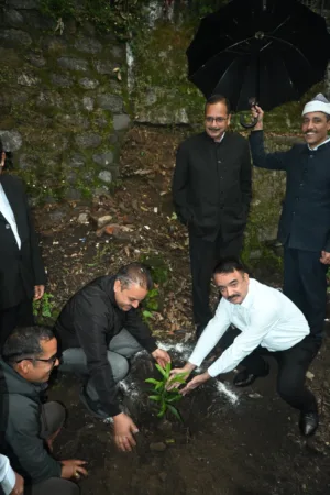 न्यायालय परिसरों में गूंजा पर्यावरण संरक्षण का संदेश, न्यायिक अधिकारियों ने किया पौधारोपण