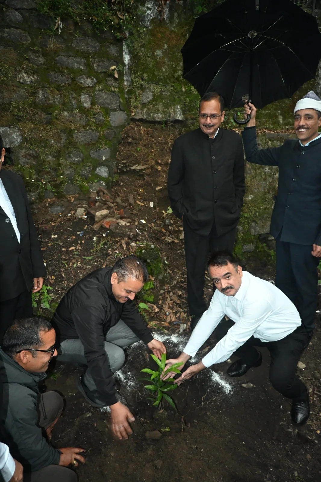 न्यायालय परिसरों में गूंजा पर्यावरण संरक्षण का संदेश, न्यायिक अधिकारियों ने किया पौधारोपण