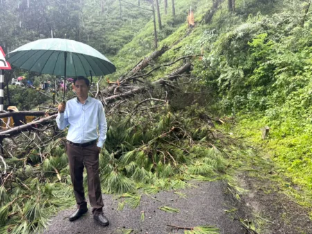 वल्दियाखान में सड़क पर गिरा चीड़ का पेड़, कुमाऊं आयुक्त के निर्देश पर तत्काल खुला मार्ग