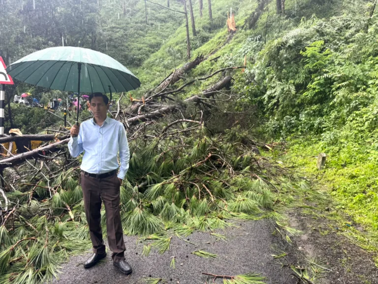 वल्दियाखान में सड़क पर गिरा चीड़ का पेड़, कुमाऊं आयुक्त के निर्देश पर तत्काल खुला मार्ग